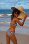 Golden Zebra Bandeau Bikini Top